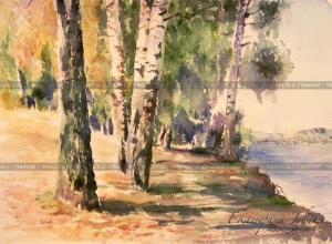 Watercolor: Birch Grove