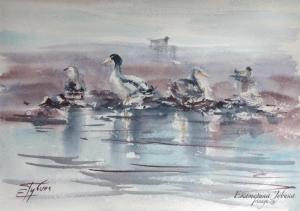 Watercolor: Birds